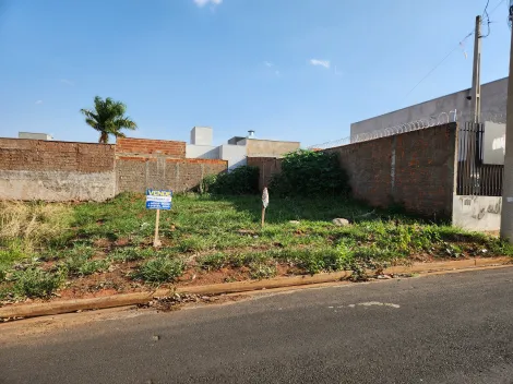 Comprar Terreno / Padrão em São José do Rio Preto R$ 130.000,00 - Foto 2