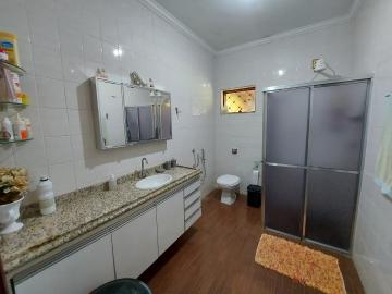 Alugar Casa / Padrão em São José do Rio Preto R$ 5.000,00 - Foto 14