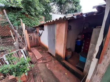 Comprar Rural / Chácara em São José do Rio Preto R$ 300.000,00 - Foto 13