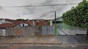 Terreno / Padrão em São José do Rio Preto 