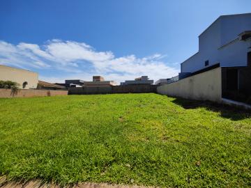 Comprar Terreno / Condomínio em São José do Rio Preto apenas R$ 650.000,00 - Foto 3