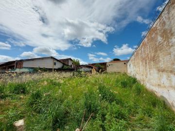 Comprar Terreno / Padrão em São José do Rio Preto apenas R$ 180.000,00 - Foto 4