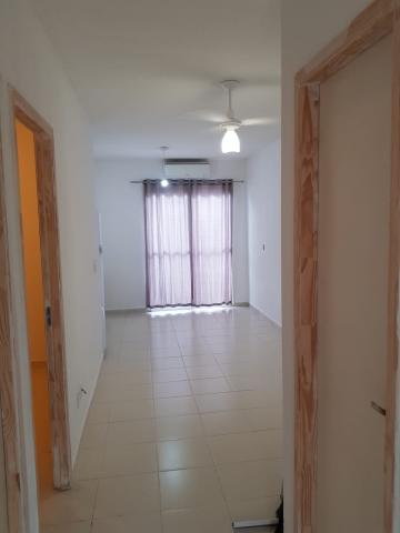 Alugar Casa / Condomínio em São José do Rio Preto apenas R$ 850,00 - Foto 3