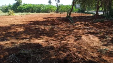 Comprar Terreno / Área em São José do Rio Preto apenas R$ 1.100.000,00 - Foto 4