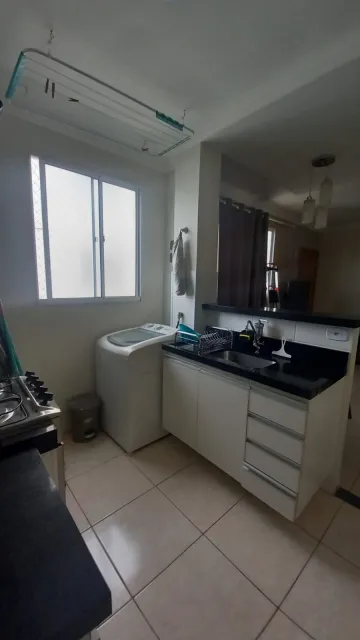 Alugar Apartamento / Padrão em São José do Rio Preto apenas R$ 1.250,00 - Foto 2