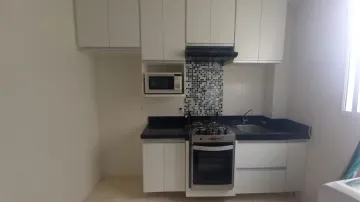 Alugar Apartamento / Padrão em São José do Rio Preto apenas R$ 1.250,00 - Foto 3