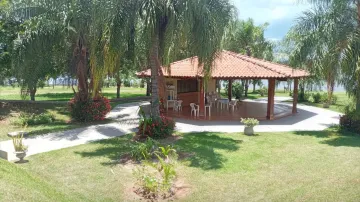 Comprar Rural / Rancho em Mira Estrela apenas R$ 2.000.000,00 - Foto 14