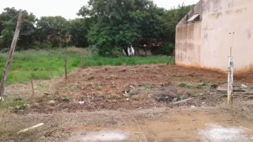 Comprar Terreno / Padrão em São José do Rio Preto apenas R$ 100.000,00 - Foto 4