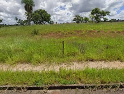 Comprar Terreno / Padrão em São José do Rio Preto R$ 3.627.000,00 - Foto 1