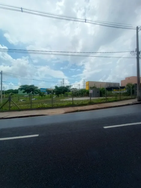 Alugar Terreno / Padrão em São José do Rio Preto apenas R$ 5.000,00 - Foto 7