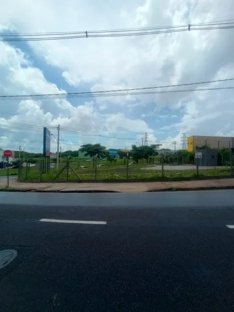 Alugar Terreno / Padrão em São José do Rio Preto apenas R$ 5.000,00 - Foto 9