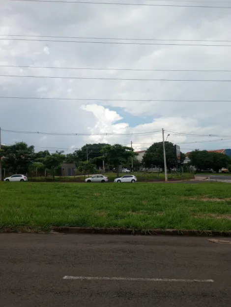 Alugar Terreno / Padrão em São José do Rio Preto apenas R$ 5.000,00 - Foto 10