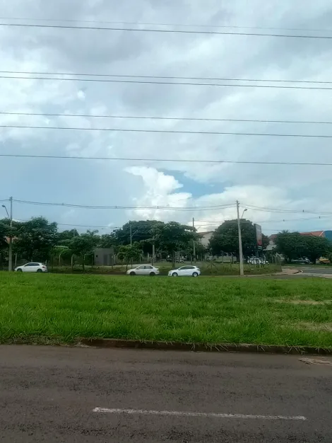 Alugar Terreno / Padrão em São José do Rio Preto apenas R$ 5.000,00 - Foto 11