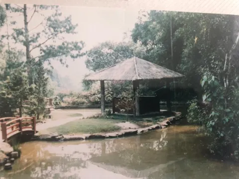 Comprar Rural / Fazenda em São Roque R$ 6.500.000,00 - Foto 8