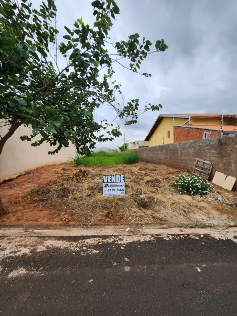 Terreno / Padrão em São José do Rio Preto 