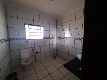 Alugar Rural / Chácara em São José do Rio Preto apenas R$ 12.000,00 - Foto 22