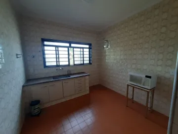 Alugar Rural / Chácara em São José do Rio Preto apenas R$ 12.000,00 - Foto 28