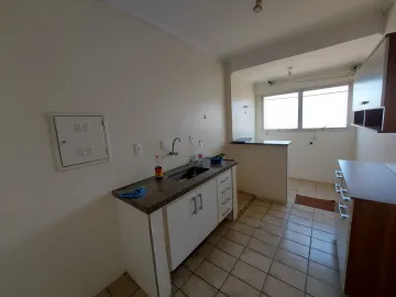 Alugar Apartamento / Padrão em São José do Rio Preto apenas R$ 700,00 - Foto 5