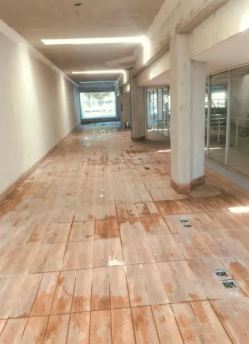 Alugar Comercial / Prédio Inteiro em Penápolis R$ 14.000,00 - Foto 5