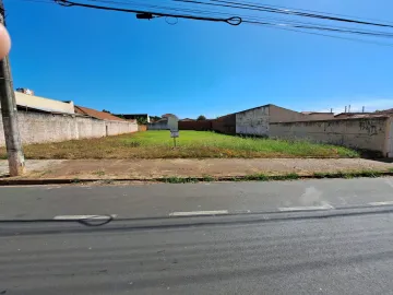 Comprar Terreno / Área em São José do Rio Preto apenas R$ 550.000,00 - Foto 5