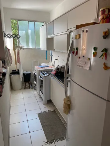 Alugar Apartamento / Padrão em São José do Rio Preto. apenas R$ 800,00