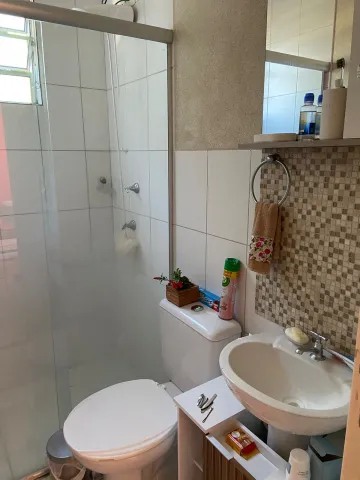 Alugar Apartamento / Padrão em São José do Rio Preto apenas R$ 800,00 - Foto 4