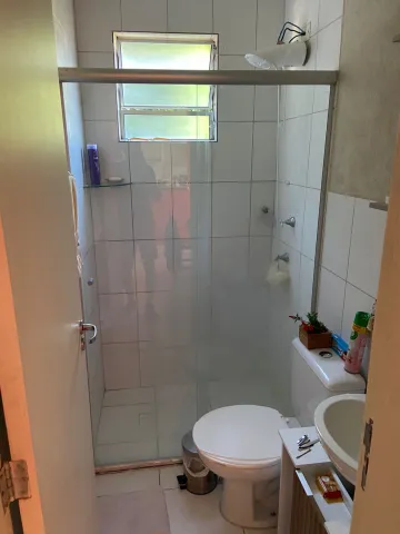 Alugar Apartamento / Padrão em São José do Rio Preto apenas R$ 800,00 - Foto 5