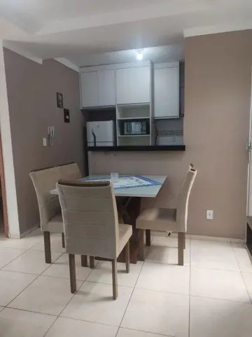 Alugar Apartamento / Padrão em São José do Rio Preto apenas R$ 1.500,00 - Foto 3