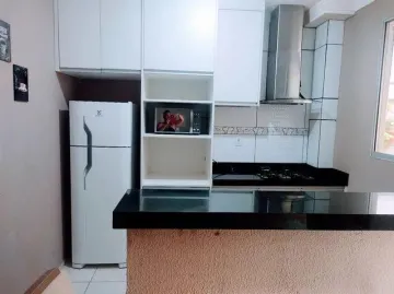 Alugar Apartamento / Padrão em São José do Rio Preto apenas R$ 1.500,00 - Foto 5