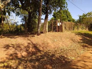 Comprar Rural / Chácara em São José do Rio Preto apenas R$ 500.000,00 - Foto 7