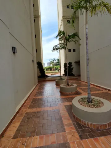 Alugar Apartamento / Padrão em São José do Rio Preto R$ 3.600,00 - Foto 28