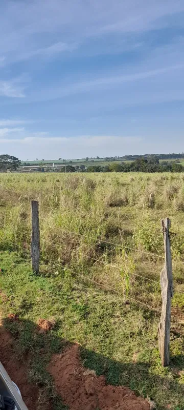 Terreno / Área em Álvares Florence 