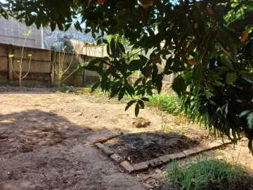 Comprar Terreno / Área em Engenheiro Schmidt R$ 473.000,00 - Foto 7