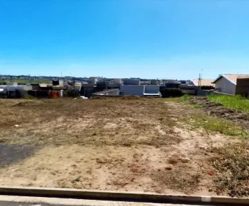 Terreno / Padrão em São José do Rio Preto 