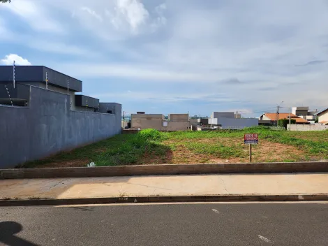 Terreno / Padrão em São José do Rio Preto 