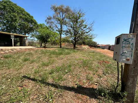 Comprar Terreno / Área em São José do Rio Preto apenas R$ 2.650.000,00 - Foto 5