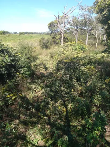 Comprar Rural / Fazenda em Poconé R$ 6.500.000,00 - Foto 4