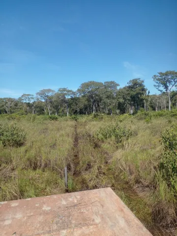 Comprar Rural / Fazenda em Poconé R$ 6.500.000,00 - Foto 3