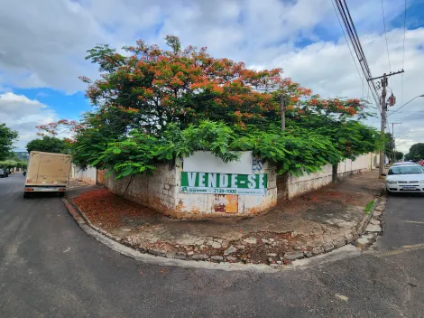 Terreno / Padrão em São José do Rio Preto 