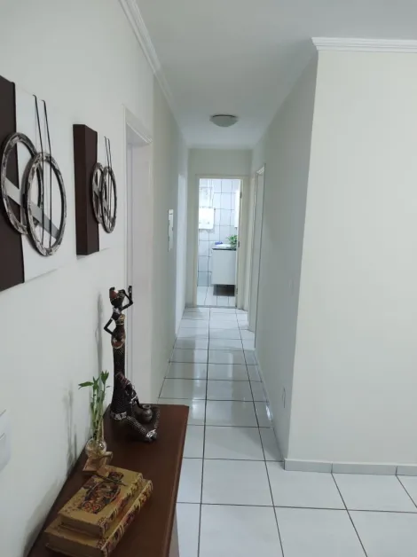 Comprar Apartamento / Padrão em São José do Rio Preto apenas R$ 170.000,00 - Foto 5