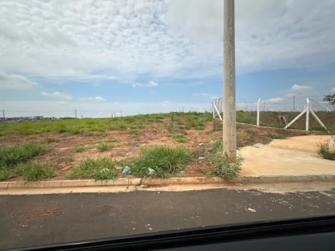 Comprar Terreno / Área em São José do Rio Preto R$ 17.000.000,00 - Foto 57