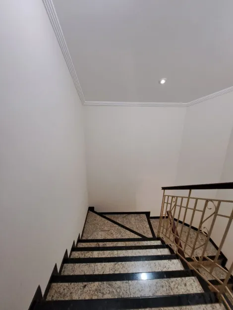 Alugar Casa / Padrão em São José do Rio Preto R$ 4.800,00 - Foto 13