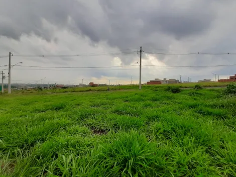 Comprar Terreno / Padrão em São José do Rio Preto R$ 100.000,00 - Foto 2