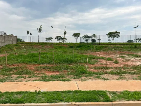 Comprar Terreno / Condomínio em São José do Rio Preto apenas R$ 340.000,00 - Foto 4