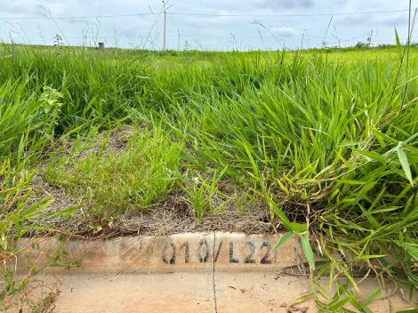 Comprar Terreno / Padrão em São José do Rio Preto apenas R$ 90.000,00 - Foto 5