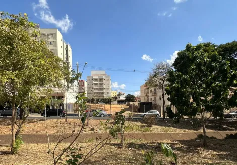 Comprar Terreno / Área em São José do Rio Preto R$ 2.400.000,00 - Foto 3