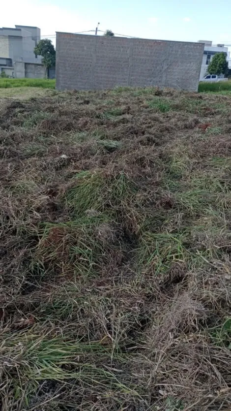 Comprar Terreno / Padrão em São José do Rio Preto R$ 132.500,00 - Foto 3