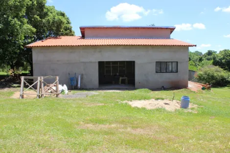 Comprar Rural / Chácara em São José do Rio Preto apenas R$ 850.000,00 - Foto 7