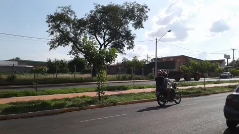 Comprar Comercial / Salão em São José do Rio Preto apenas R$ 7.800.000,00 - Foto 4