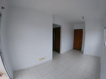 Alugar Apartamento / Padrão em São José do Rio Preto apenas R$ 800,00 - Foto 3